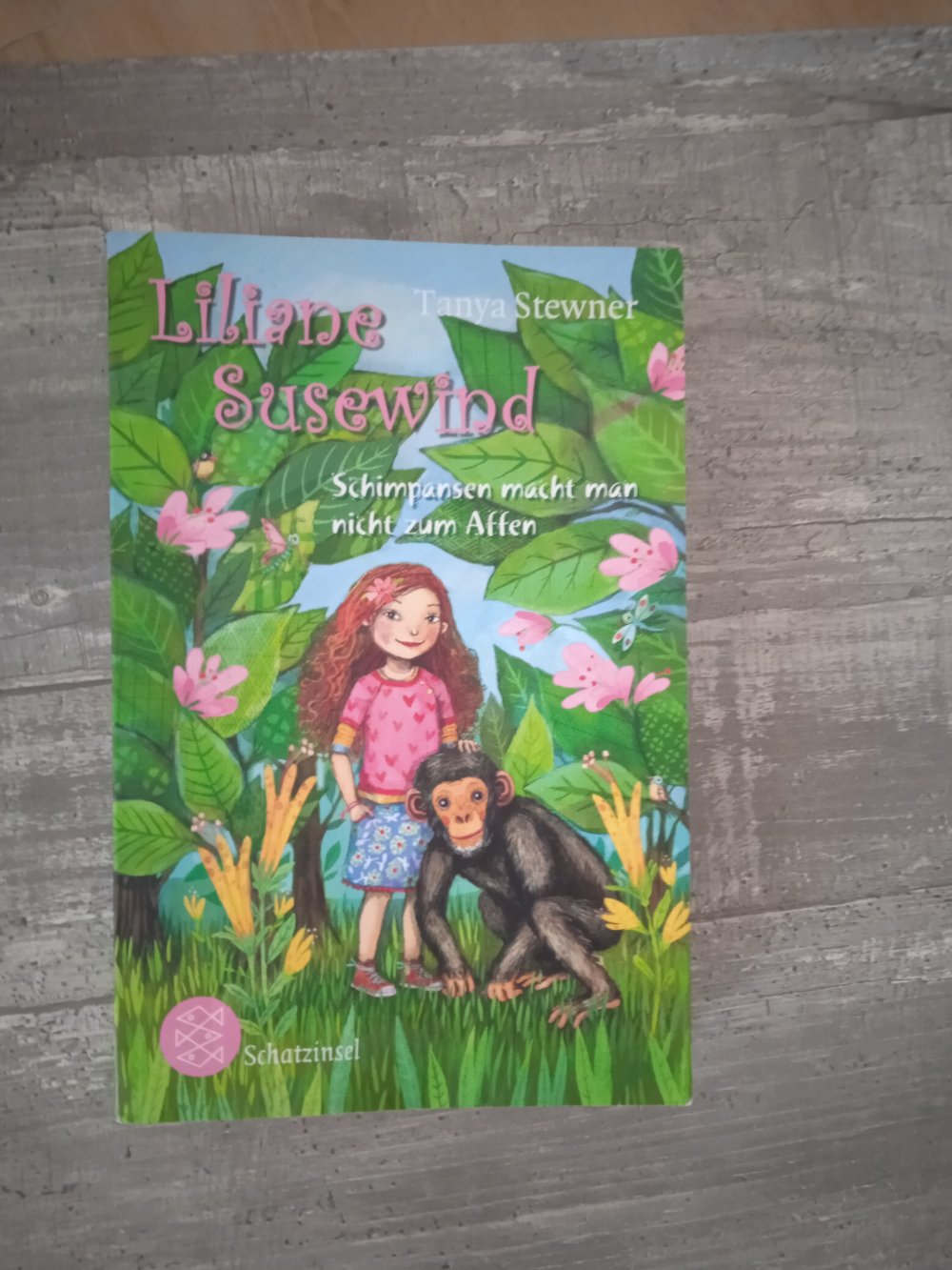 Liliane susewind Buch neuwertig 