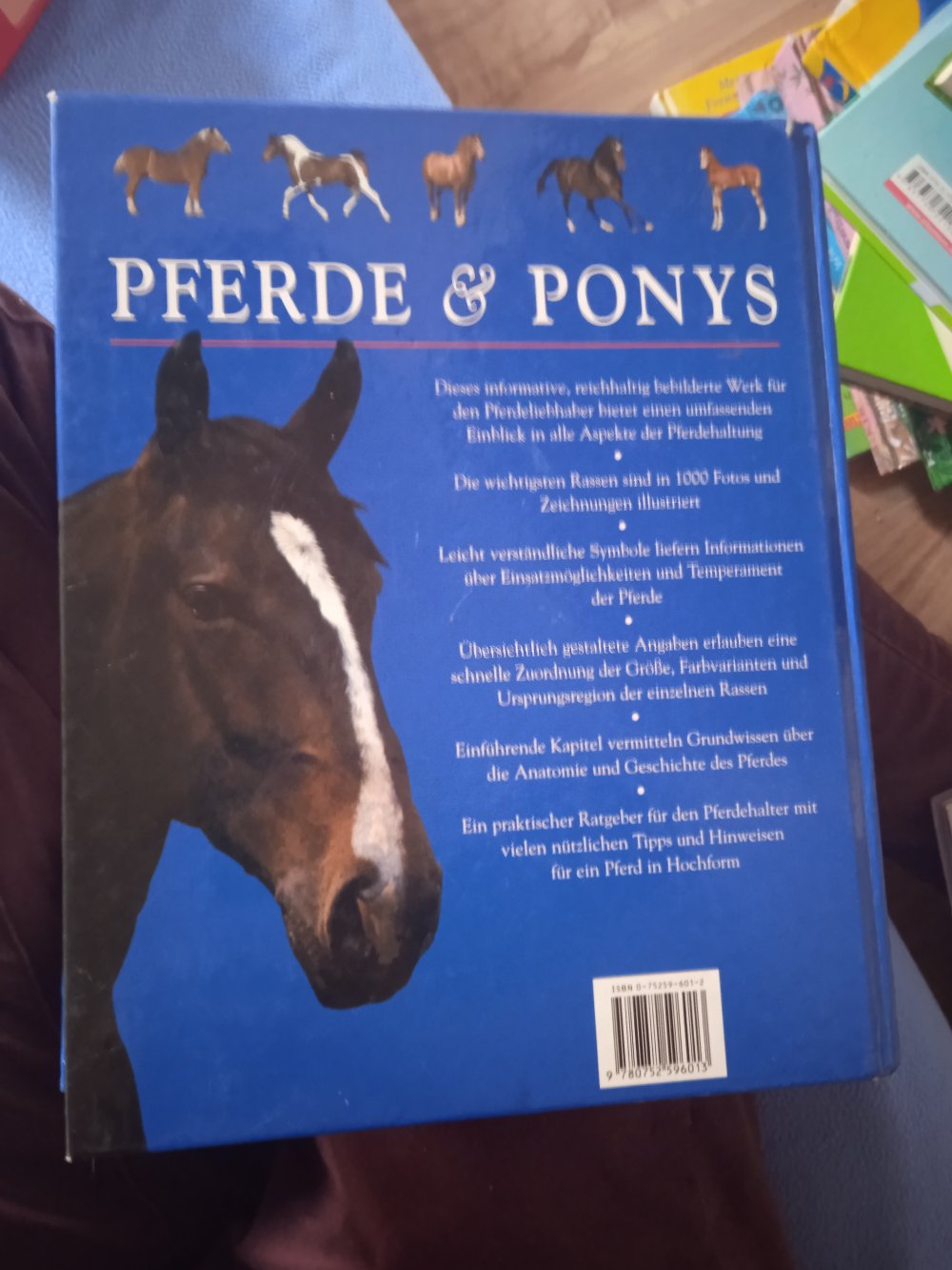 Pferde und Ponys Buch neuwertig 