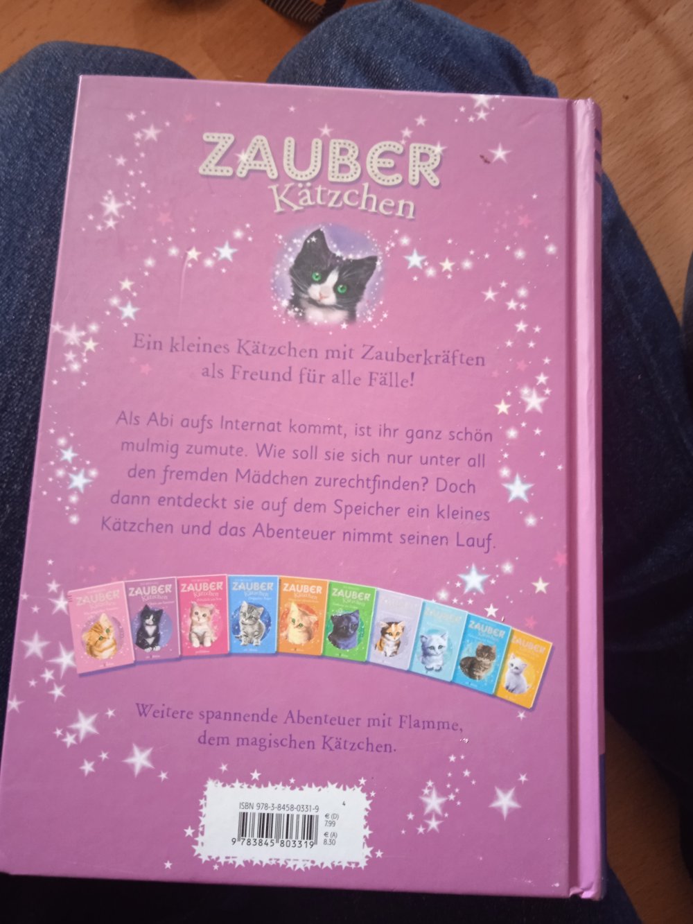 Die Zauberkätzchen Buch neuwertig 