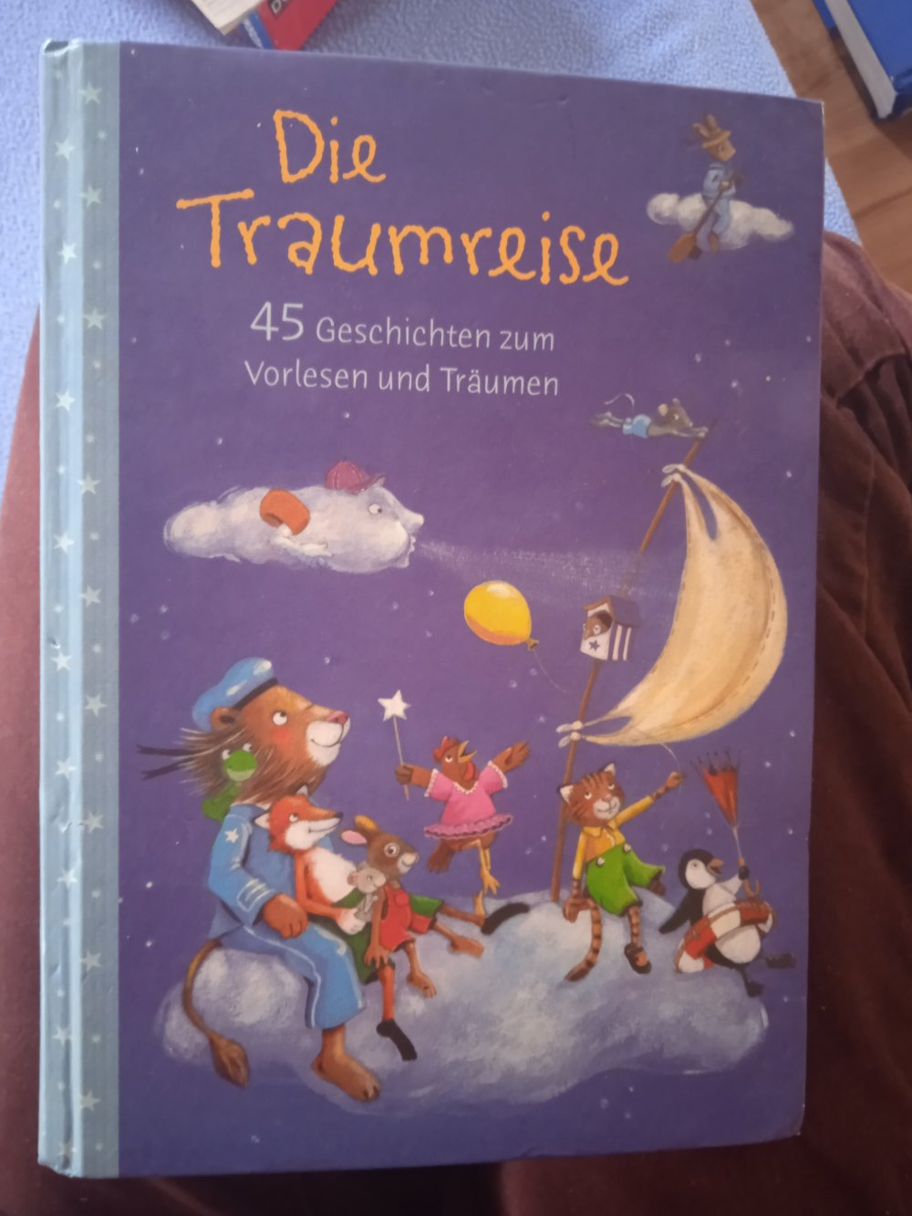 Die Traumreise Märchen Buch neuwertig 