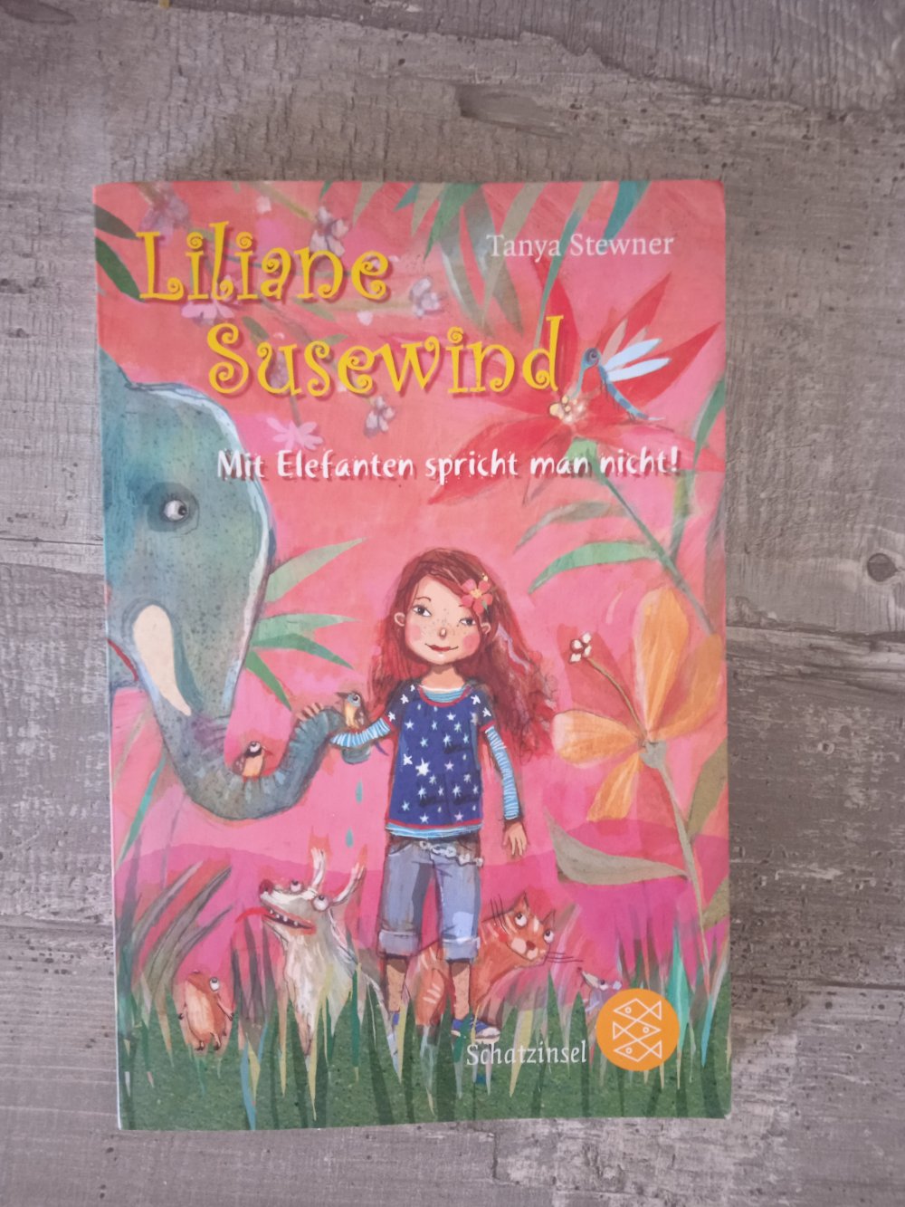 Liliane susewind Buch neuwertig 
