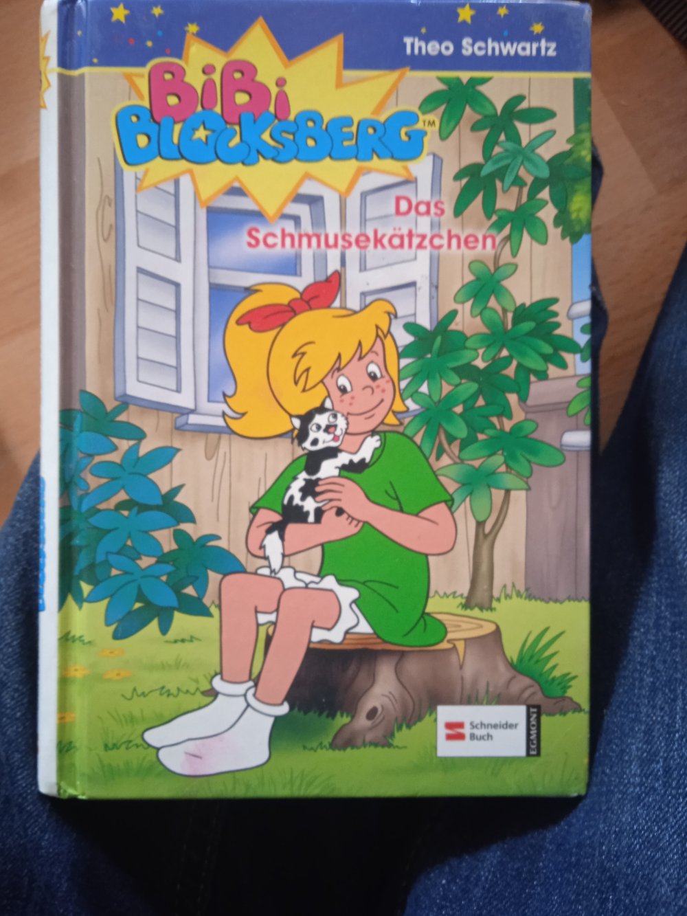 Bibi Blocksberg das schmusekätzchen 