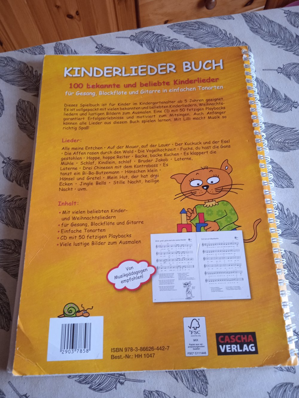 Kinderlieder Buch guter Zustand 