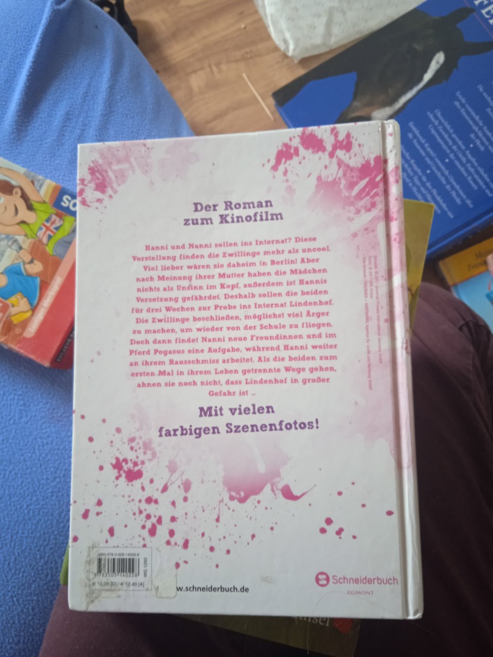 Hanni und Nanni 2 neuwertig 