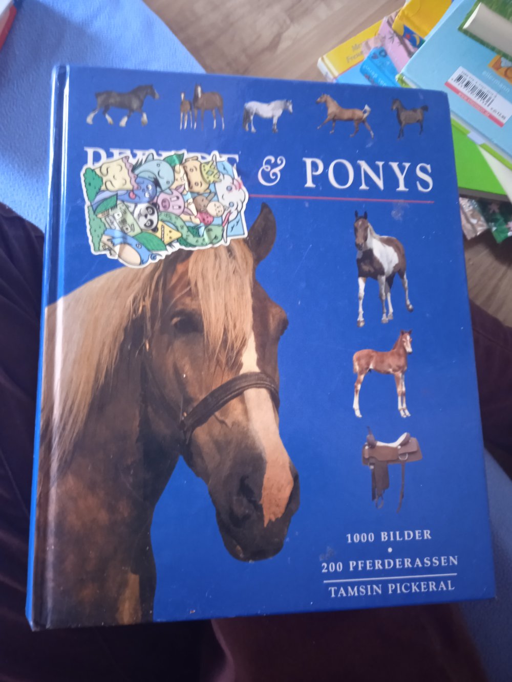 Pferde und Ponys Buch neuwertig 