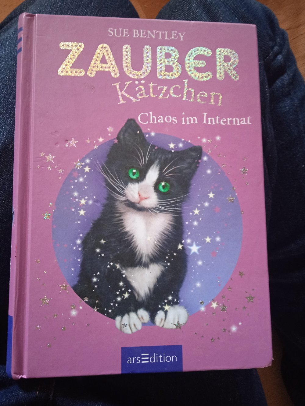 Die Zauberkätzchen Buch neuwertig 