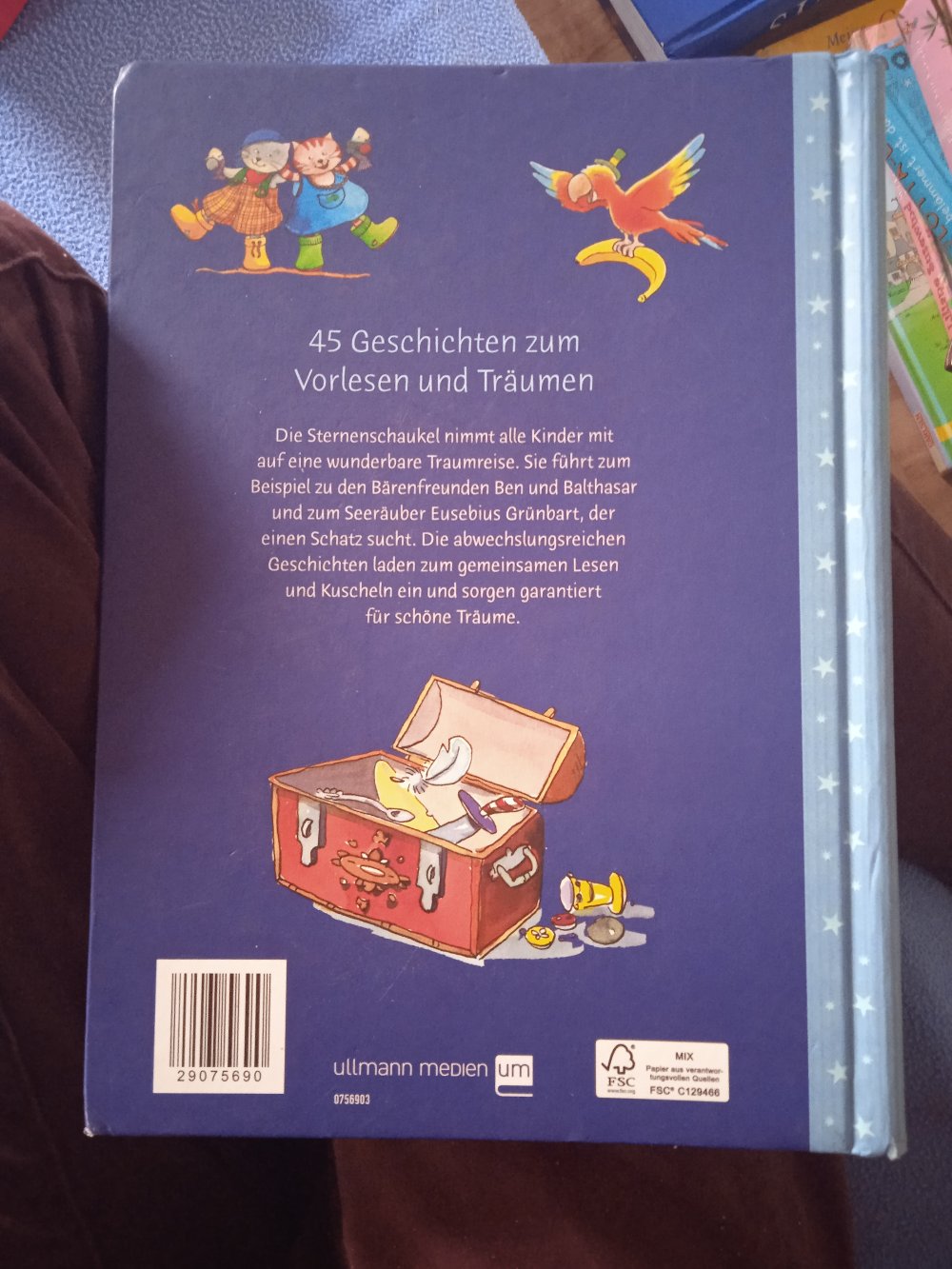 Die Traumreise Märchen Buch neuwertig 