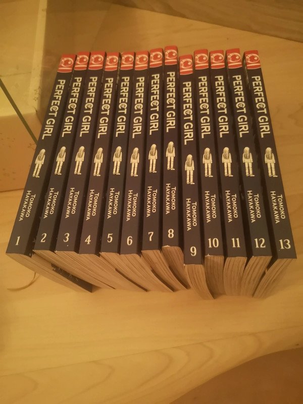 Manga Perfect girl shojo Bd. 1 bis 13 