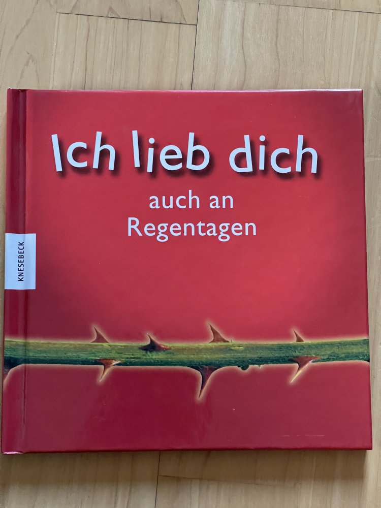 Ich lieb dich auch an Regentagen