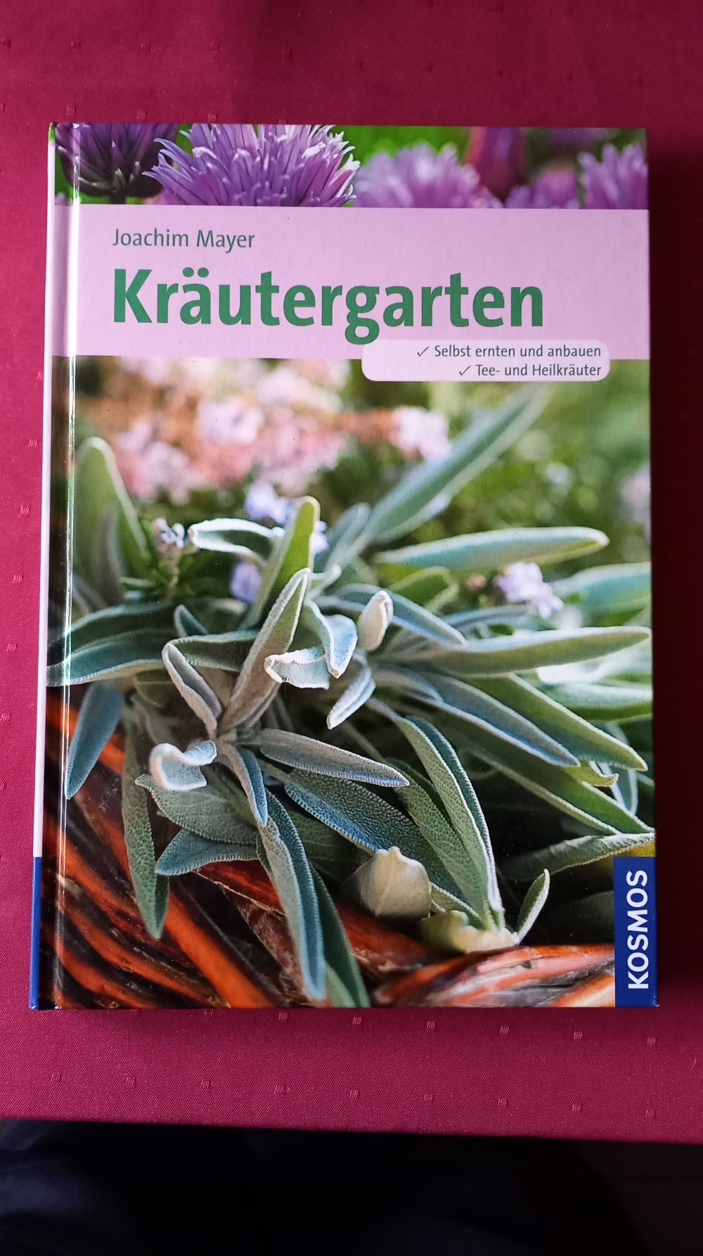 Kräutergarten