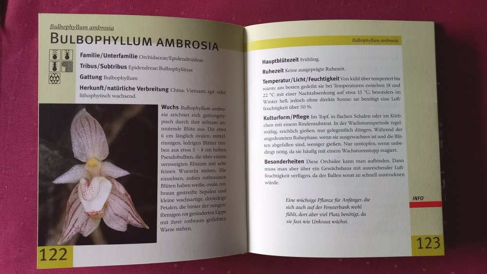 Lexikon der Orchideen