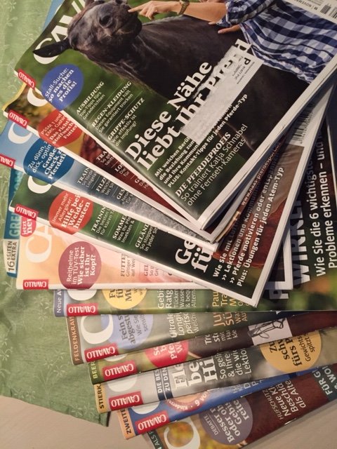 Cavallo, Ausgaben 11/21-11/22