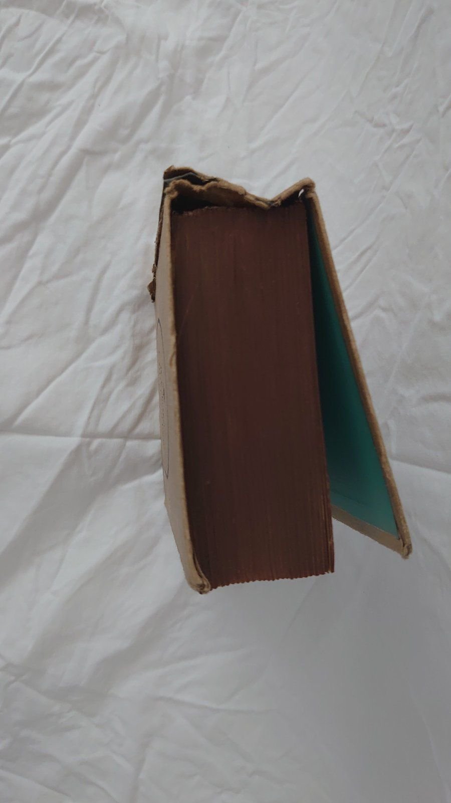 Die Flitterwochen des Ruhms Buch A. Schoebel 224 Seiten von ca 1948