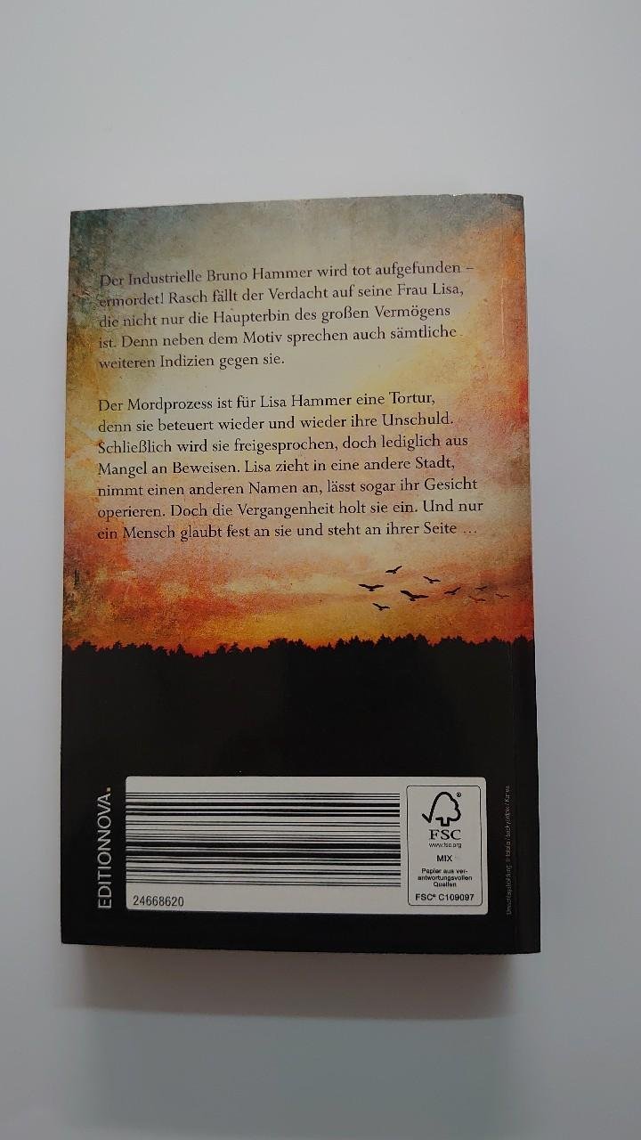 Buch Im Schatten des Verdachts Marie Louise Fischer