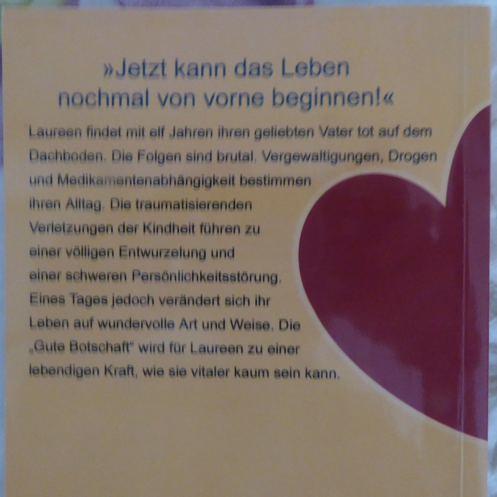 Buch NEU Dr. Stephan Bauer Verstoßen mißbraucht gespalten und ein großes Hapyy End