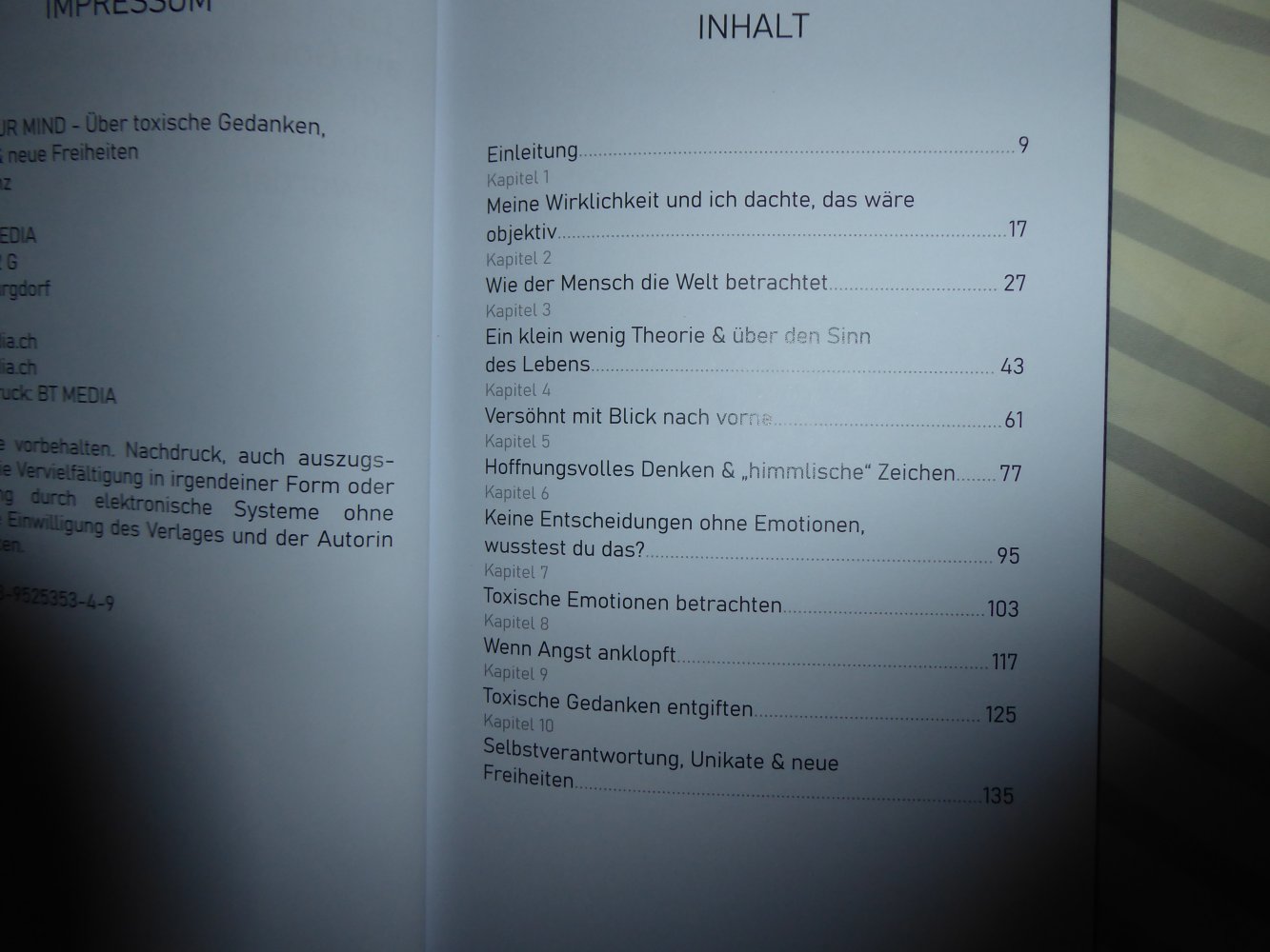 Buch Change your mind B. Benz Toxische Gedanken Seelsorge Glaube christlich 