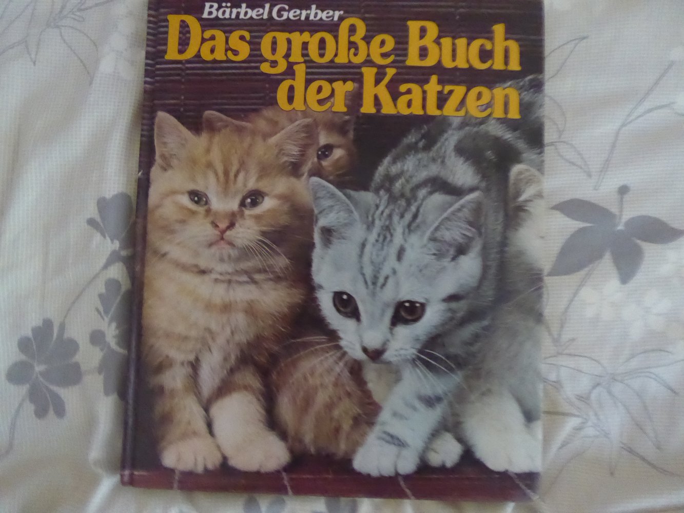 11 x Buch Katze Wohnungskatze Katzensprache Clickertraining artgerecht Zucht