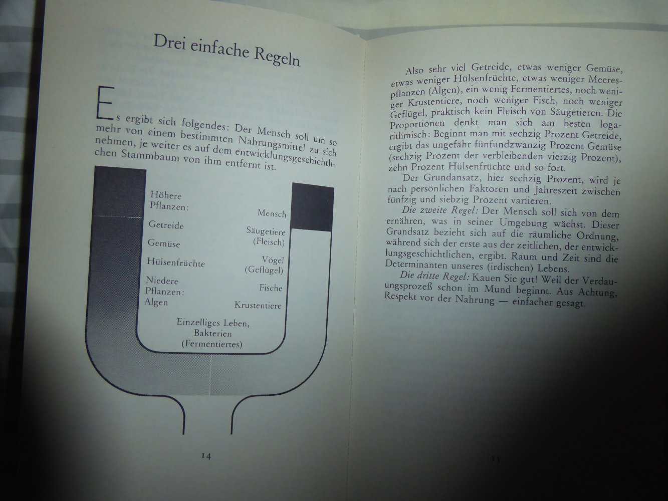 Buch Makrobiotik Anders Essen anders leben Max Grell Entdecker Georg Ohsawa
