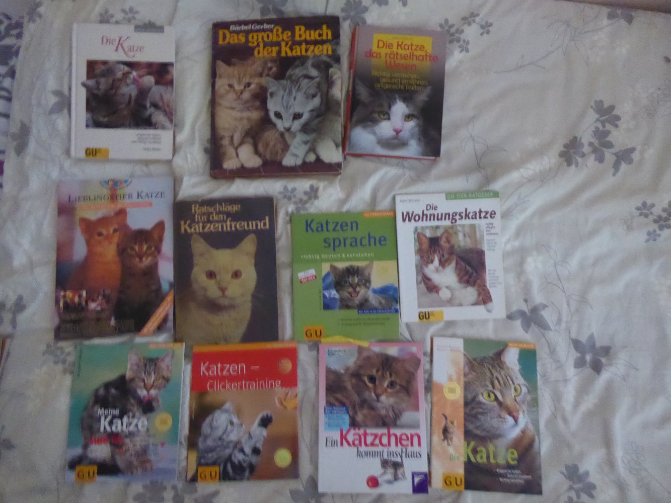 11 x Buch Katze Wohnungskatze Katzensprache Clickertraining artgerecht Zucht