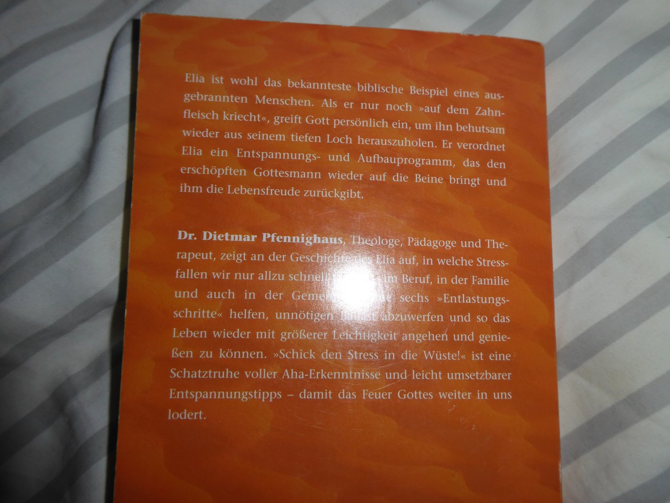Buch Schick den Stress in die Wüste Entspannung Seelsorge christlich Glaube D. Pfennighaus
