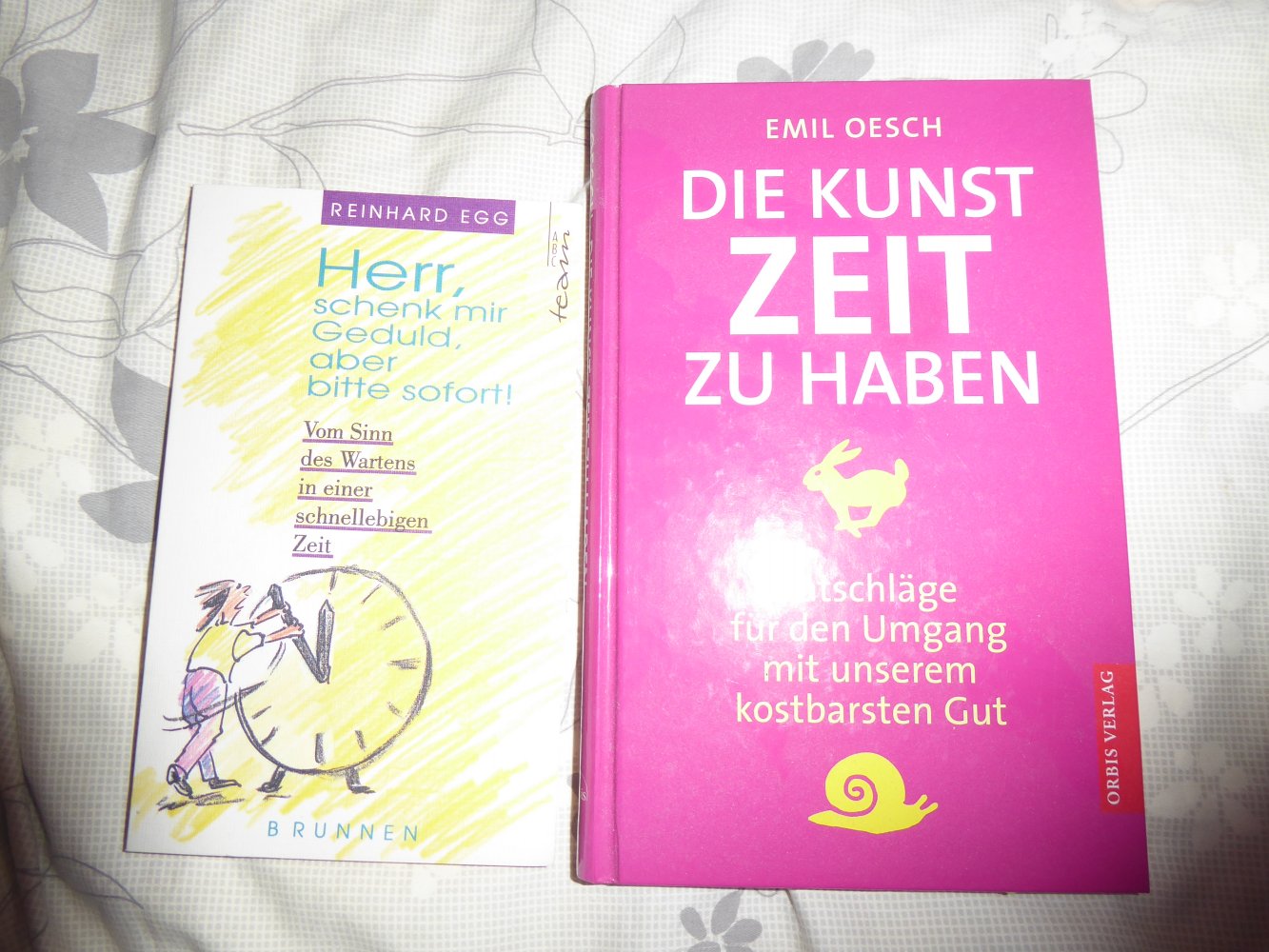 2 x Bücher Buch Zeitmanagement Stress Zeitproblem Zeitmangel Sinn des Wartens Umgang mit der Zeit