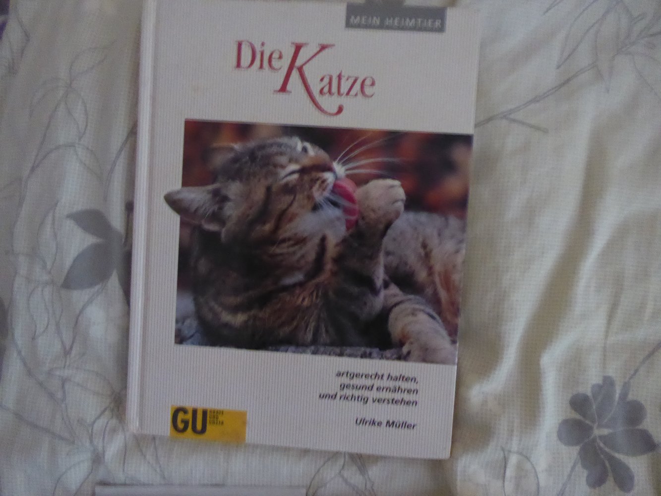 11 x Buch Katze Wohnungskatze Katzensprache Clickertraining artgerecht Zucht