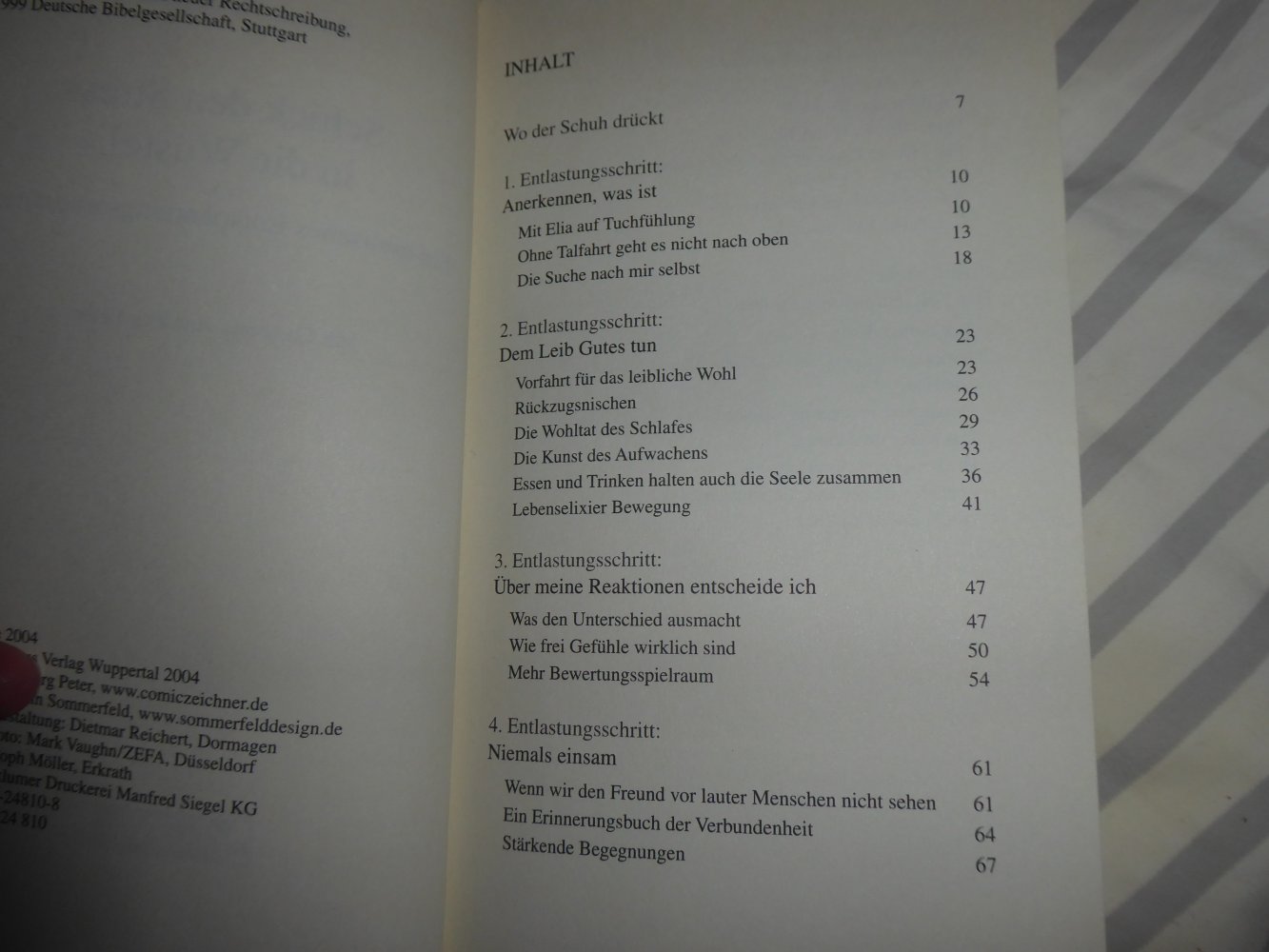Buch Schick den Stress in die Wüste Entspannung Seelsorge christlich Glaube D. Pfennighaus
