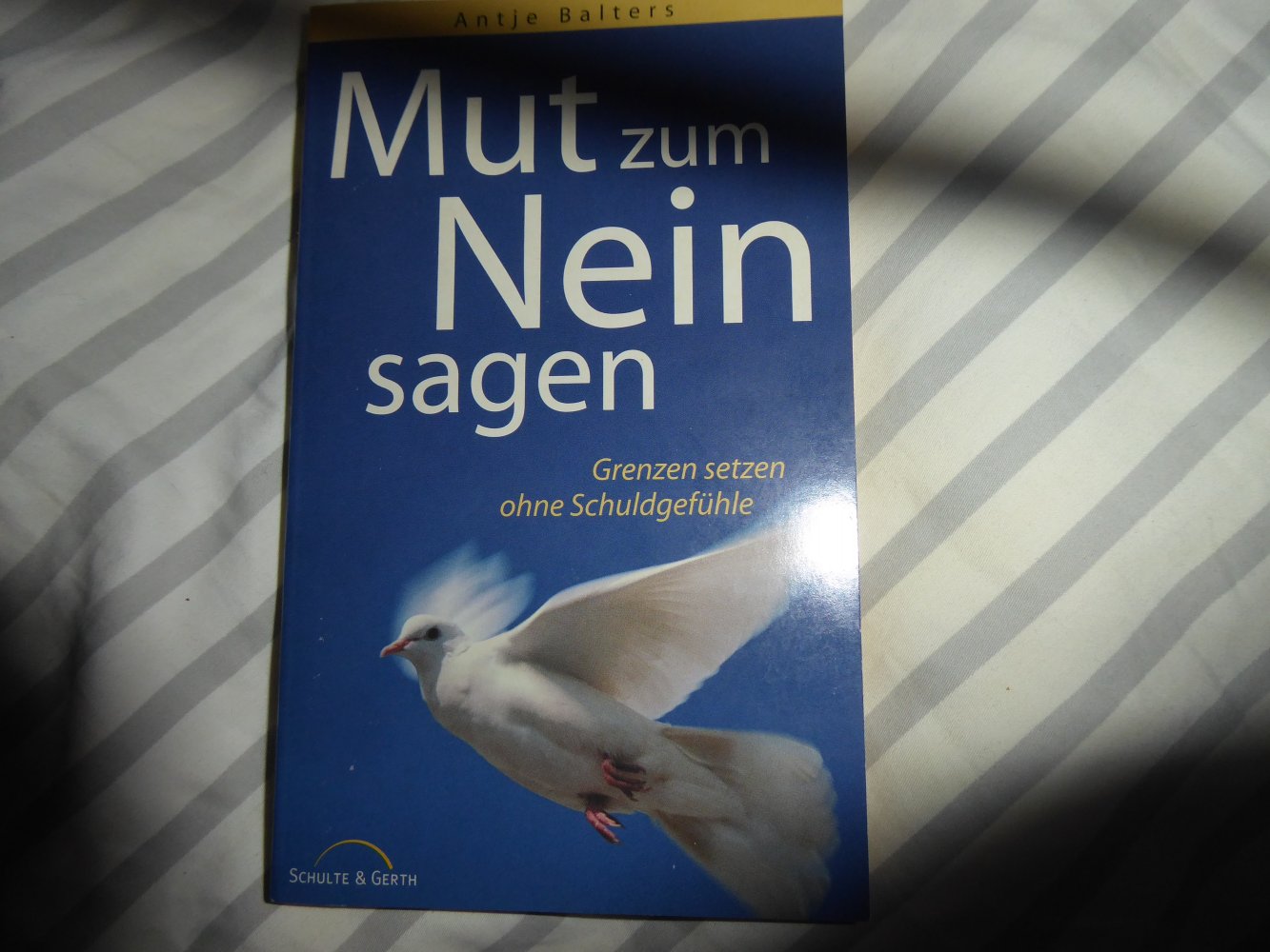 Buch Nein sagen Grenzen setzen ohne Schuldgefühle Psychologie Glass Balters