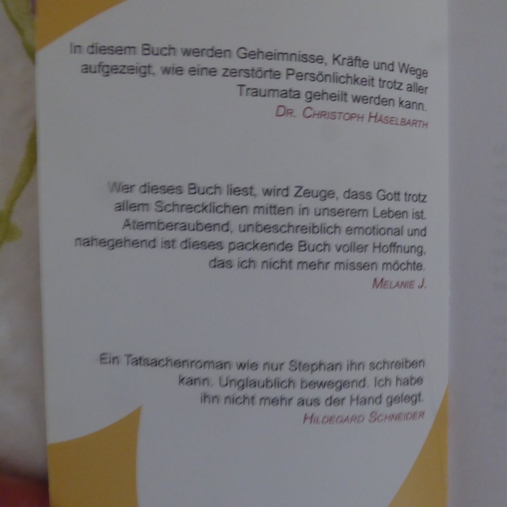 Buch NEU Dr. Stephan Bauer Verstoßen mißbraucht gespalten und ein großes Hapyy End