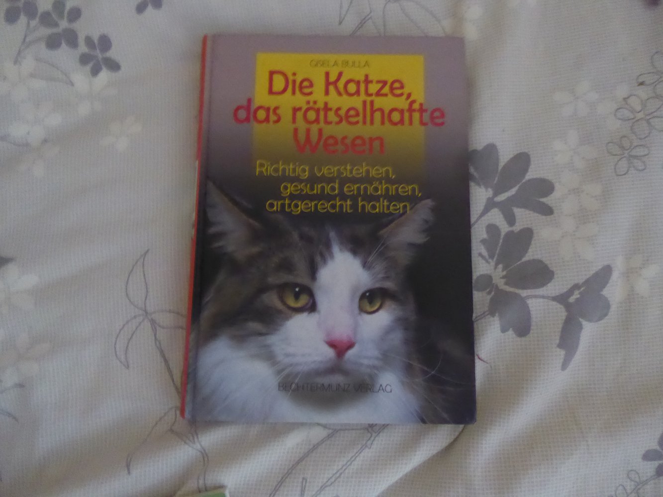 11 x Buch Katze Wohnungskatze Katzensprache Clickertraining artgerecht Zucht