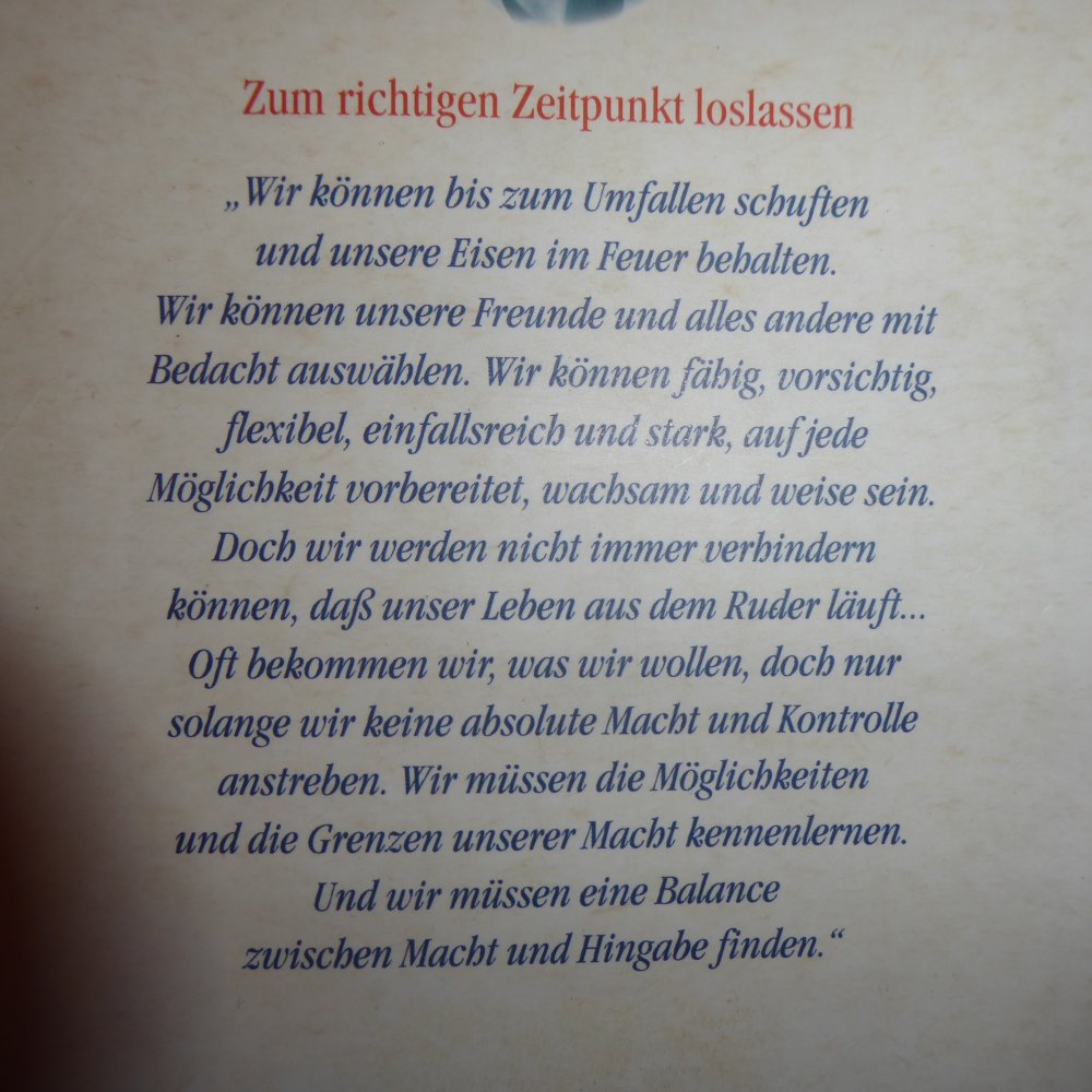 Buch Mut zu Schwäche Frauenliteratur innere Balance J. Viorst Frauenbuch Ratgeber