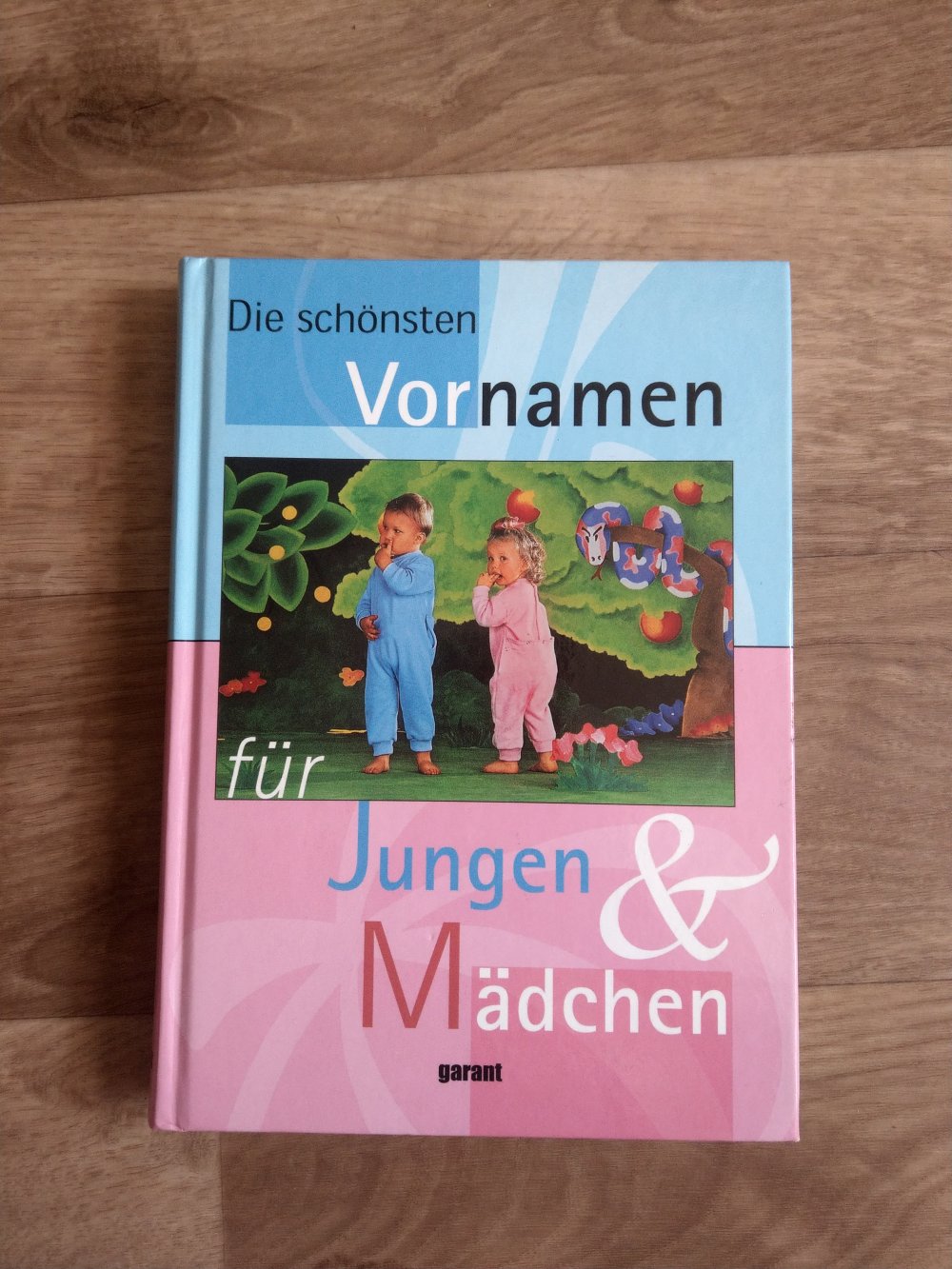 Buch 