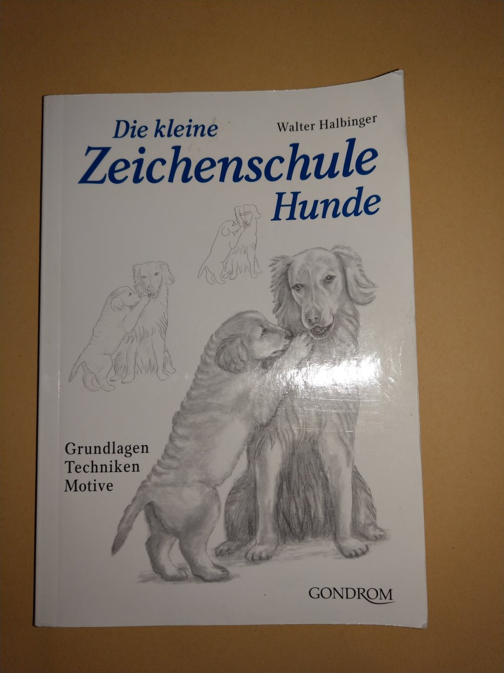 Buch 