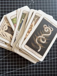 Woodland Wardens Orakelkarten