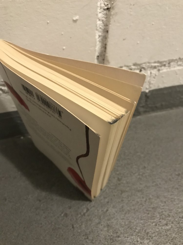 Noëlle Châtalet - Die Klatschmohnfrau