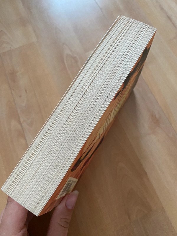 Der Verehrer Charlotte Link Roman Goldmann