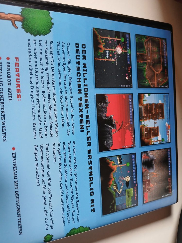 PC Spiel TERRARIA Fsk 6 spannend