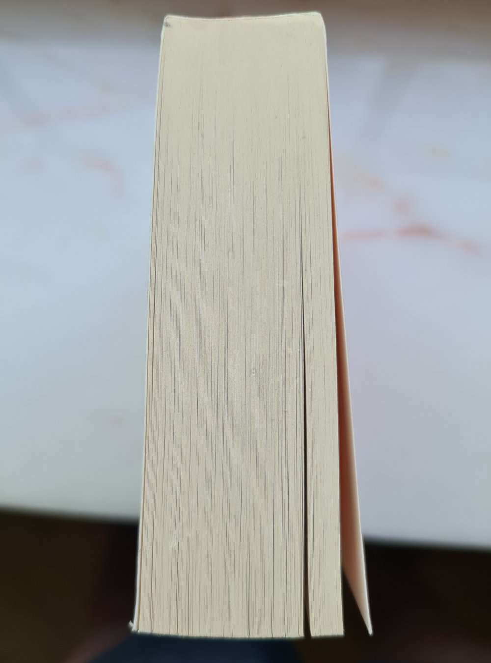 Der Erdbeerpflücker - Monika Feth