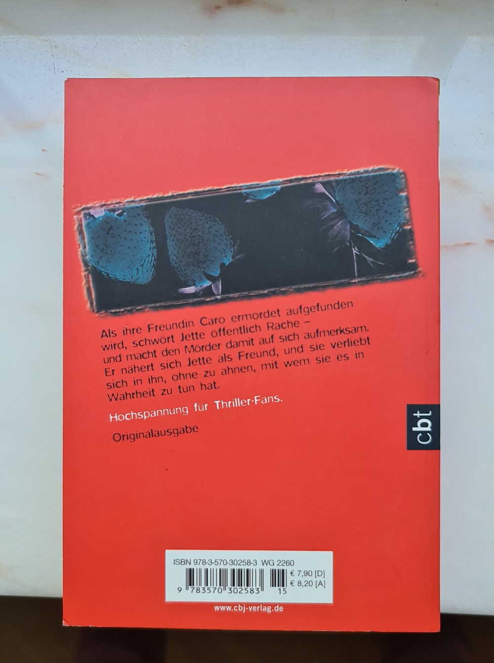 Der Erdbeerpflücker - Monika Feth