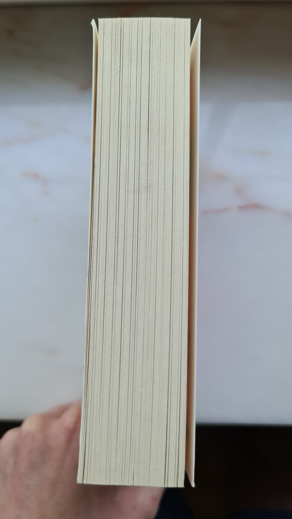 Der Erdbeerpflücker - Monika Feth