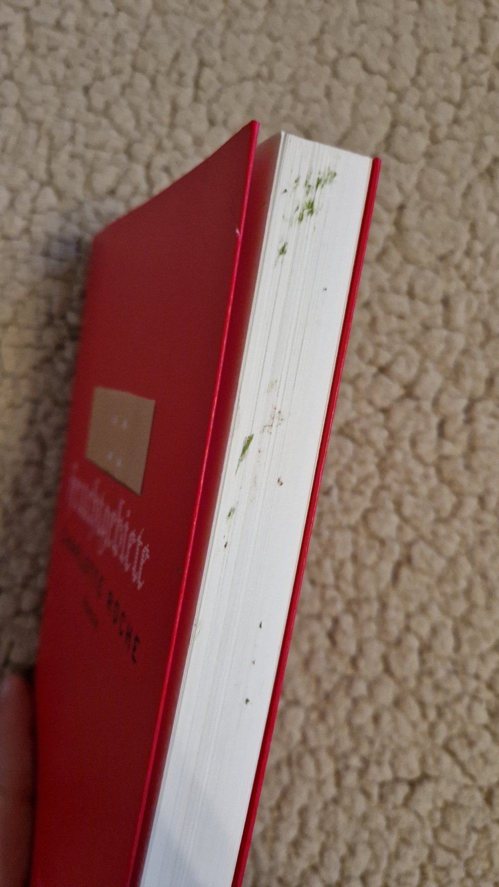 Charlotte Roche Feuchtgebiete | Taschenbuch - #2ndchancebooks