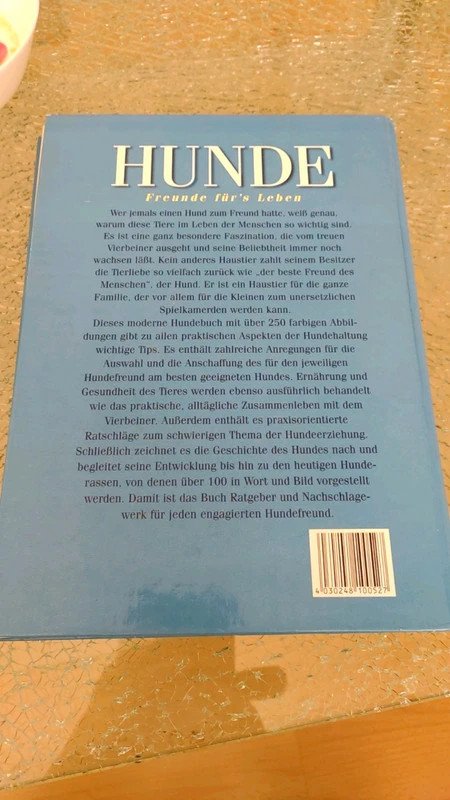 Hunde Freunde fürs Leben