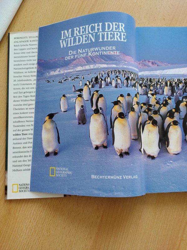   Im Reich der wilden Tiere 