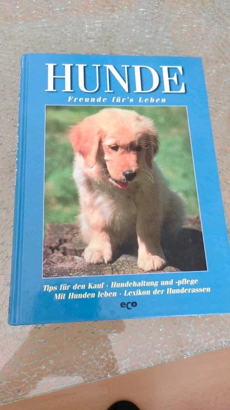 Hunde Freunde fürs Leben