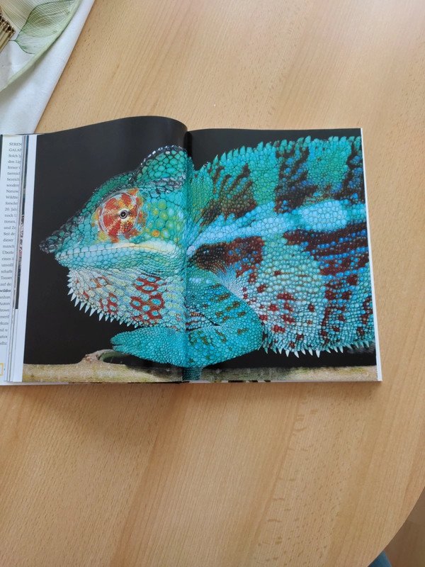   Im Reich der wilden Tiere 