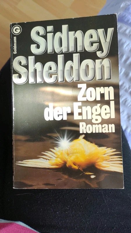 Zorn der Engel