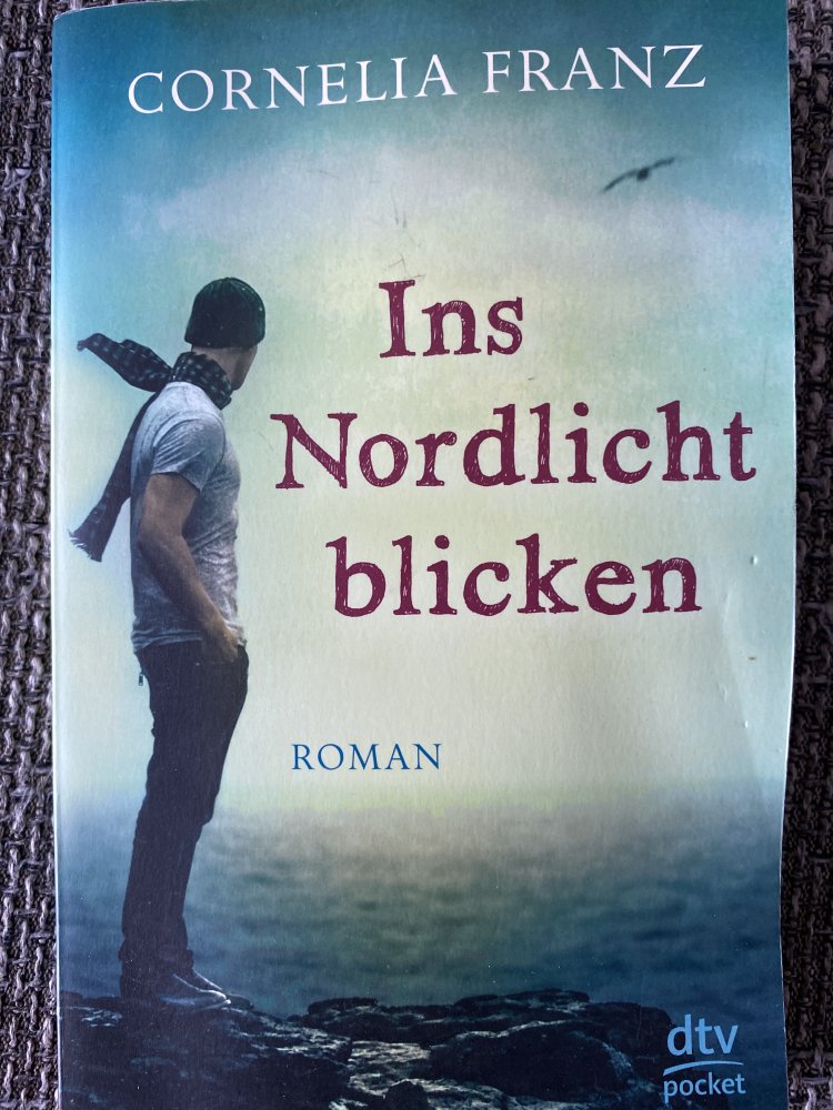 Ins Nordlicht blicken