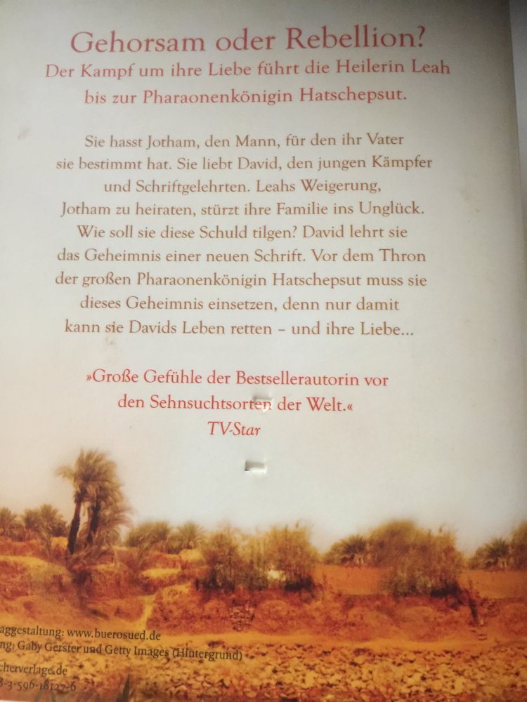 Babara Wood im Auge der Sonne