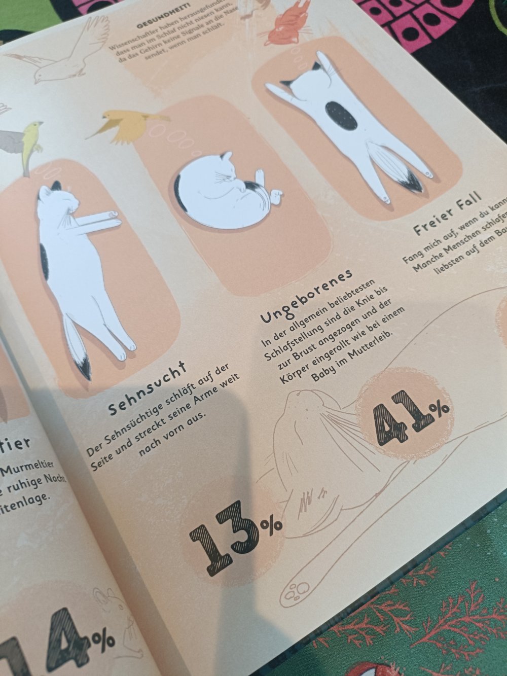 Buch Alles übers Schlafen,Vicky Woodgate, träumen, Tiere, Menschen, pflanzen, Sachbuch, Kinderbuch