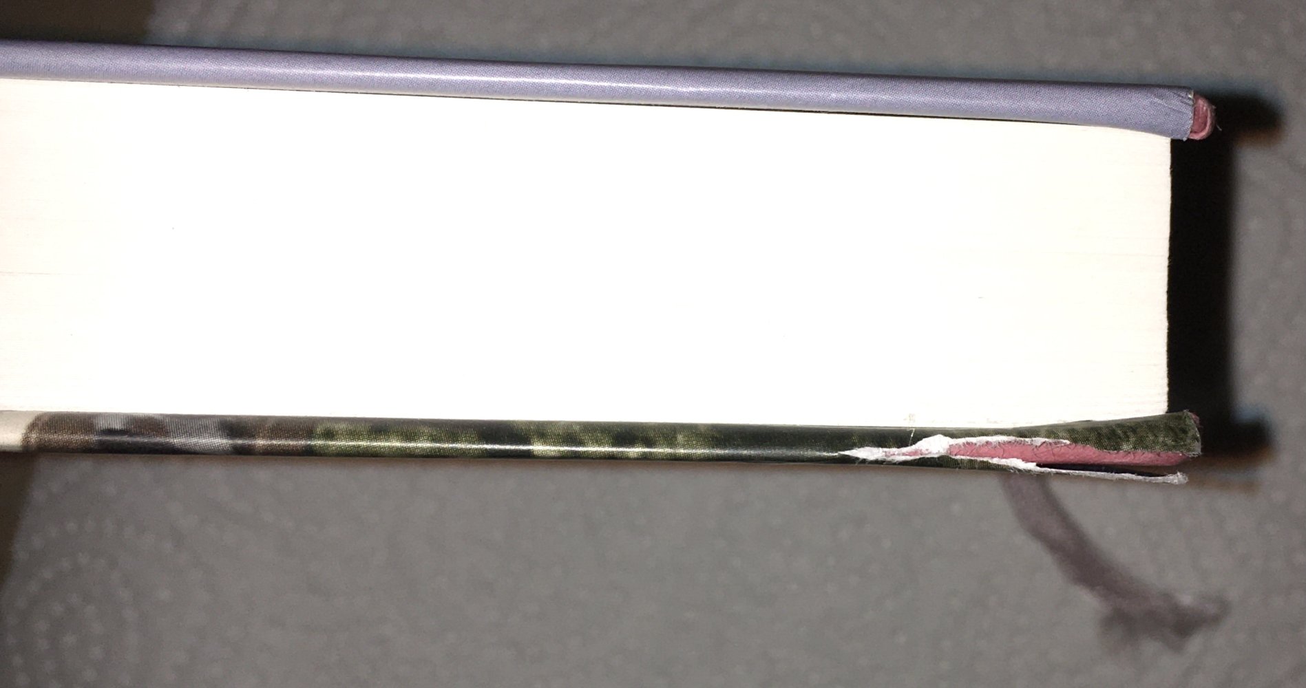 Meine Zeit mit Eleanor v. Amy Bloom